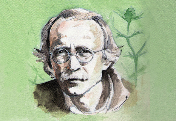 Joan Pellicer, l’homenot de Bellreguard*